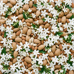 ALMOND CAFE : The Memory of Warmth