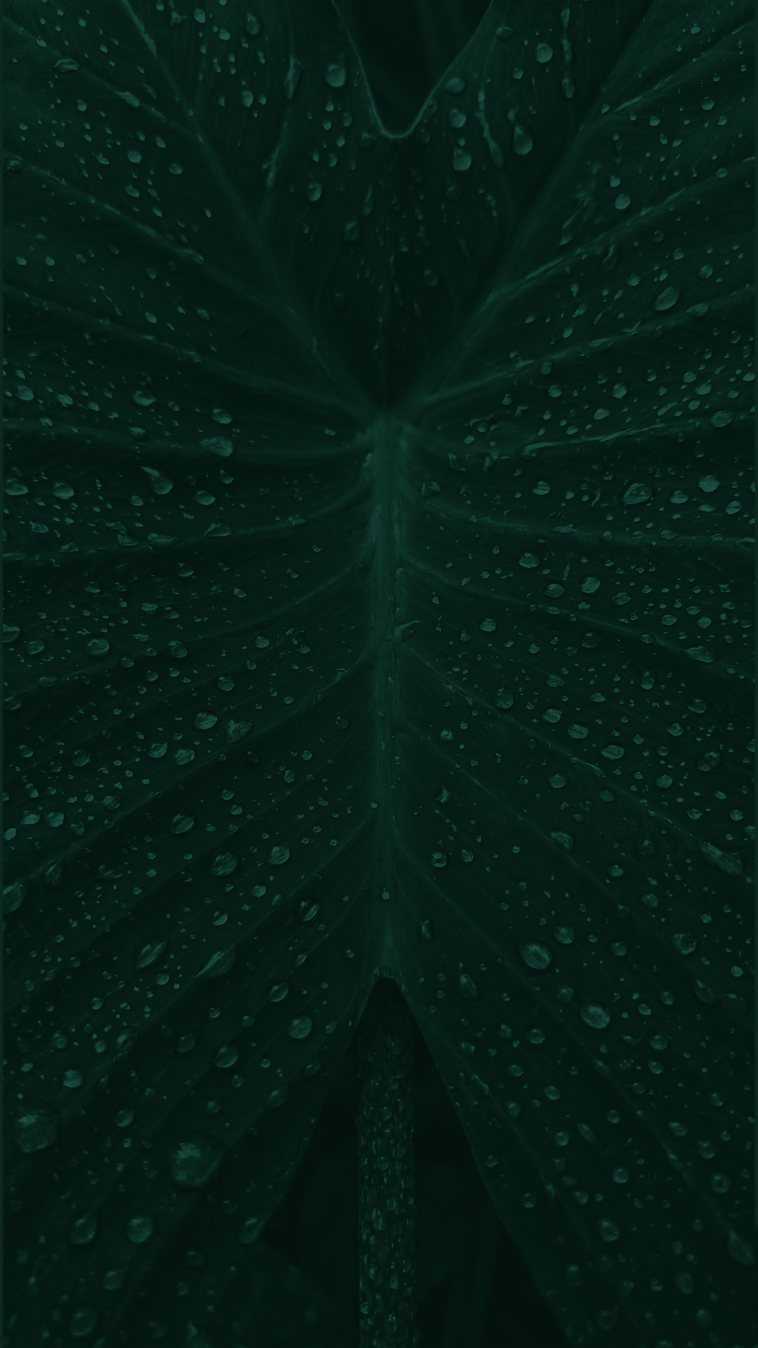 Brand Background