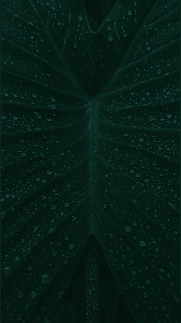 Instaloves User Photo