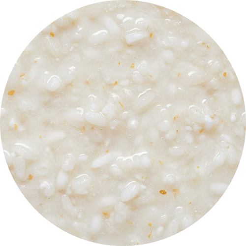 Sake (S1) Microbiome-Activating Rice Extract