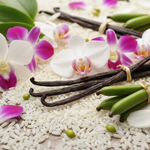 SILK RICE : The Memory of Touch